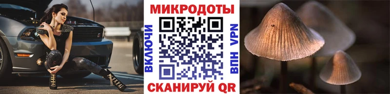Галлюциногенные грибы Psilocybe  сколько стоит  Павловский Посад 